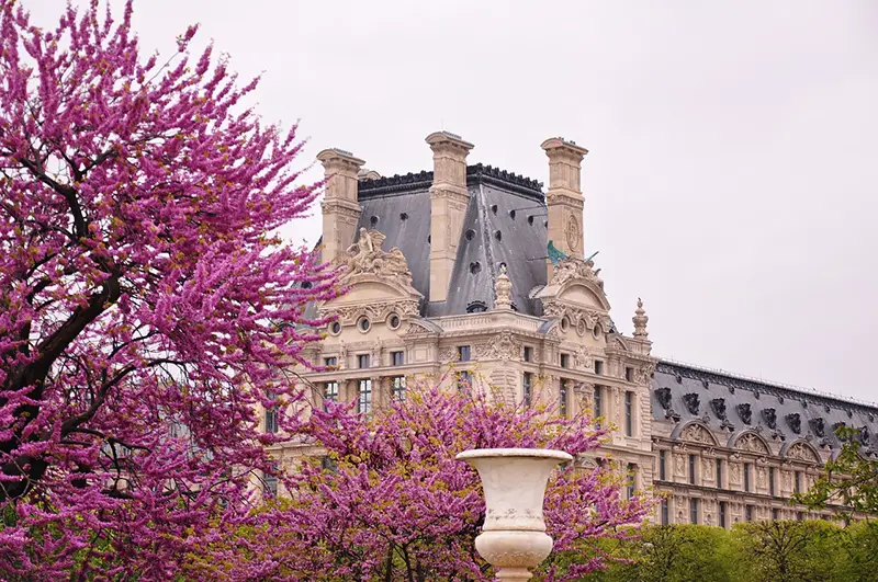 Museu do Louvre Primavera em Paris