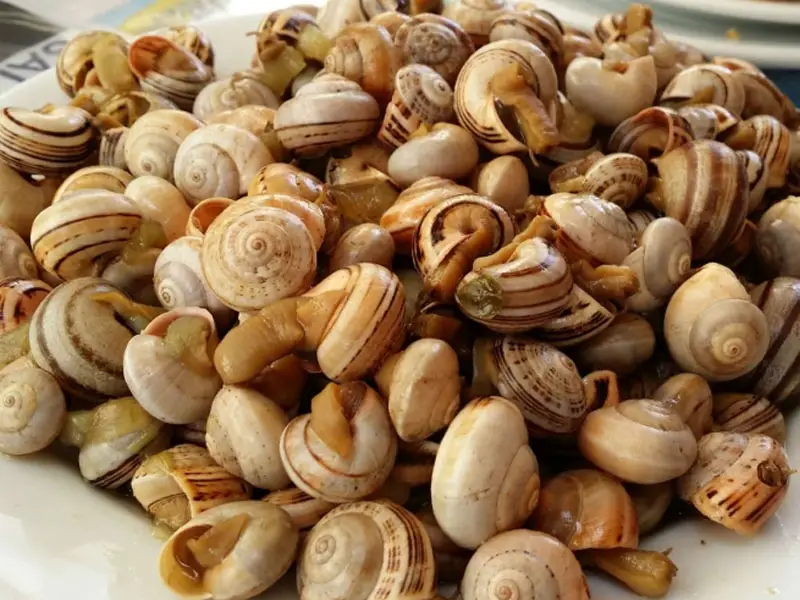 Onde comer caracol na Espanha? Pratos comuns na Espanha
